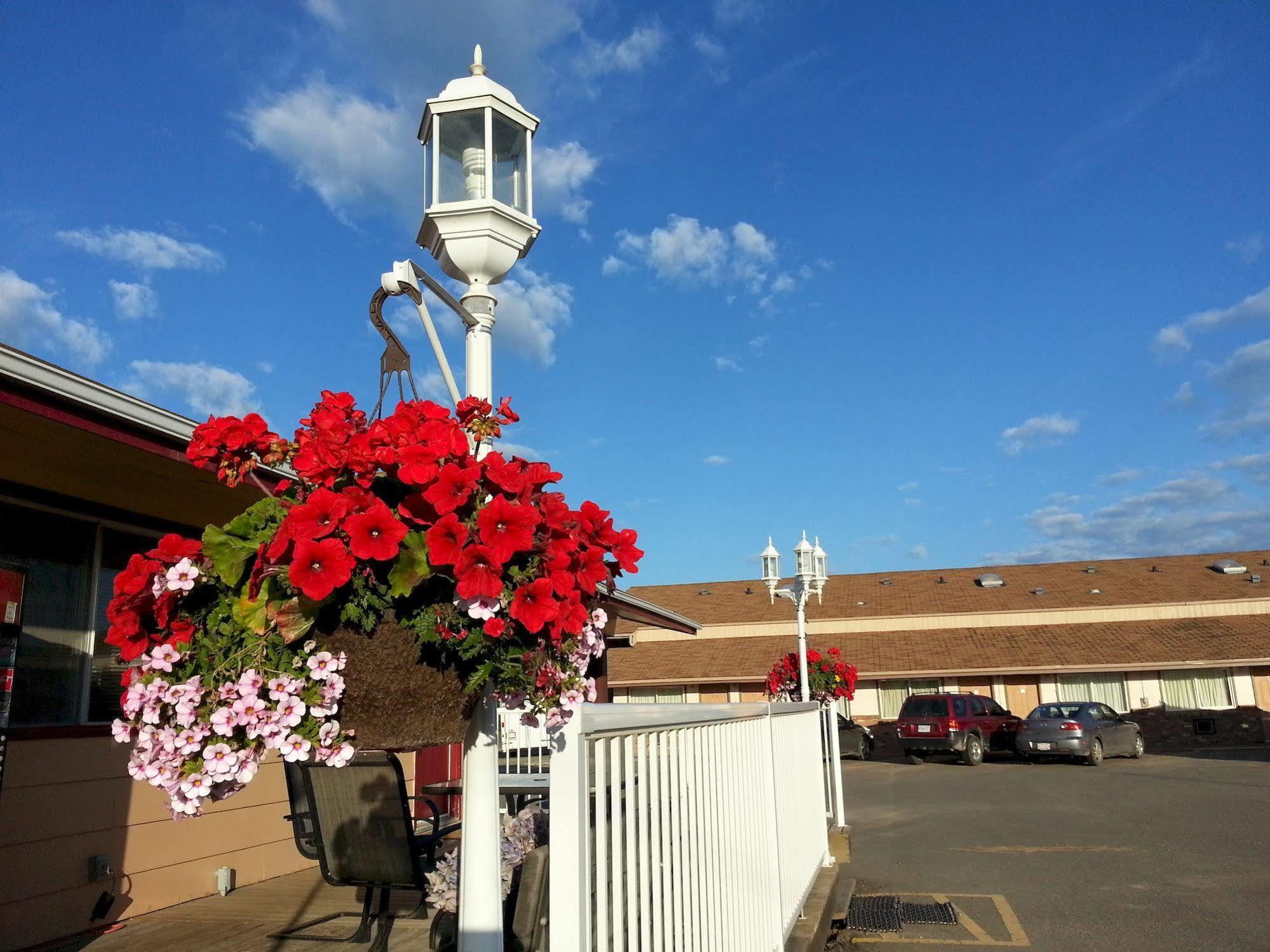Traveller'S Inn Dawson Creek Dış mekan fotoğraf
